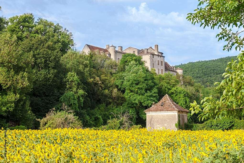 Brit Hotel Cahors - Le France Exteriör bild